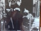 THE STYLE COUNCIL OUR FAVOURITE SHOP COLOURED VINYL LP SEALED