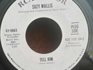 Suzy Wallis RCA 47-8863 