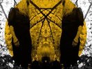 Austra - Feel It Break
