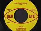 WILD VYBRASHONS: A Place In The Sun / One Track Mind 45 (sl storage warp dnap)