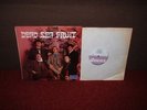 DEAD SEA FRUIT 1st LP 1967 MONO 1st Press  MINT  AMAZING PSYCH RARITY