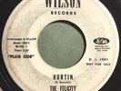 * FELICITY Hurtin' / I'll Try It (Don Henley) RARE GARAGE PSYCH Wilson 45 HEAR