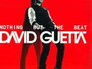 David Guetta ?– Nothing But The Beat Album 2LP (12