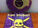 Teenage Bottlerocket ?– Stealing The Covers 12