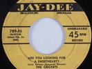 Doo Wop R&B 45 CRICKETS & DEAN BARLOW Are You Looking For A Sweet...JAY-DEE HEAR