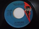 The Newcomers 45RPM You Put The Sunshine Back on Volt Soul Listen
