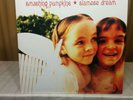Smashing Pumpkins - Siamese Dream 180G double Black Vinyl LPs - 1993