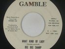 Northern Soul 45 - Dee Dee Sharp - What Kind Of Lady - Gamble - mp3 - promo