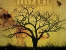Dozer – Beyond Colossal (clear) – VINYL LP