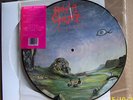 Nasty Savage - Indulgence - 87 US Metal Blade 72213-1  Picture-LP m-/m- /limited