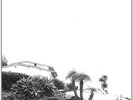 Timber Timbre-Hot Dreams  (UK IMPORT)  VINYL NEW