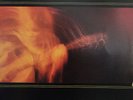 MICHAEL HEDGES LIVE ON THE DOUBLE PLANET VINYL VG+