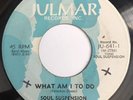 LITTLE TY & SOUL SUSPENSION What Am I To Do / You Don't Know JULMAR 45 RARE SOUL