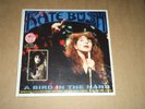 kate bush rare 180 gram splash vinyl lp only 20 copies pressed sealed tmoq takrl