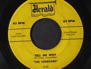 SUNBEAMS: Tell Me Why / Come Back Baby 45 (xol, plays strong, the lbl on one si