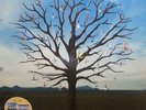 Opposites [Deluxe Edition] [Two-LP] by Biffy Clyro (Vinyl, Jan-2013, 2 Discs,...
