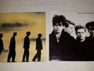 Vintage Echo And The Bunnymen LP Albums Self Titled & Songs to Learn & Sing  VG