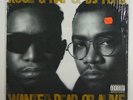 Kool G Rap & DJ Polo 