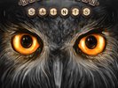 REVOLUTION SAINTS - LIGHT IN THE DARK (LIMITED .VINYL EDITION)   VINYL LP NEW+