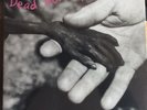 DEAD KENNEDYS - PLASTIC SURGERY DISASTERS VINYL LP NEW MINT SEALED