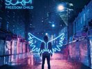 THE SCRIPT FREEDOM CHILD HAND SIGNED AUTOGRAPHED LP ALBUM RECORD VINYL SEALED