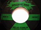 BUTTS BAND Get Up Stand Up VINYL 45 Funk Reggae Soul Break PEGGY LEE Dock Of Bay