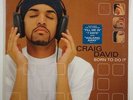 Craig David 