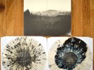If These Trees Could Talk - S/T Above the Earth, Below the Sky Vinyl 2xLP /250