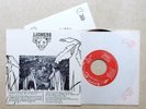 LIONESS: Burnin' Out 45 Botany Park Canadian new wave AOR hear