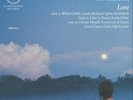 AMEN DUNES - Love (reissue) - Vinyl (LP)
