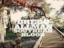 Gregg Allman: Southern Blood (Hardwood Color Vinyl) LP