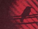 Thee Silver Mt.Zion - Born into Trouble as the Sparks Fly Upward