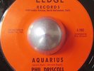 OBSCURE FUNK 45 PHIL DRISCOLL Aquarius / The fool on the hill LEDGE LISTEN