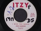JOHN HAMMOND: I Wish You Would / I Can Tell 45 (wol, killer ) Blues & R&B