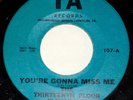 Scarce Original IA 45 THE THIRTEENTH 13TH FLOOR ELEVATORS You're Gonna Miss Me