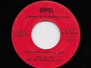 Ann Sexton - You've Been Gone Too Long / You're Letting Me Down (Soul, 45)