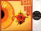 KATE BUSH the kick inside (original uk) LP VG/VG- EMC 3223 art rock 1978 emi