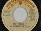 Funk 45 - Voices Of East Harlem - Can You Feel It - Just Sunshine VG+ mp3 promo