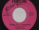 Northern Soul 45 - Tommy Neal - Goin' To A Happening - Pameline - mp3
