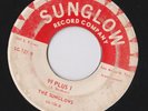 THE SUNGLOWS 