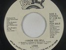 Funk Disco 45 - Logg - I Know You Will - Salsoul - mp3 - promo