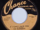 Doo Wop R&B 45 FLAMINGOS If I Can't Have You CHANCE HEAR