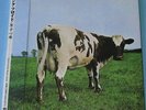 PINK FLOYD Atom Heart Mother JAPAN mini lp cd TOCP-65736 New