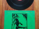 Fully Signed Autographed Siouxsie and the Banshees Punk 12