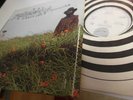 IAN CARR BELLADONNA LP 1972 VERY RARE VERTIGO SWIRL ENGLAND