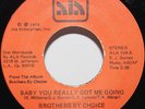 Brothers By Choice 45 Baby You Really Got Me Going b/w Take A Little More Soul