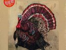 3 x LP: Various - Pampa Records Vol. 1 - Pampa Records - PAMPA LP011, Pampa Reco