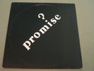 Promise Self Titled 1980 Private Press Garage Pop Cumulus LP Beatles Big Star
