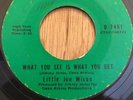 LITTLE JOE MIXON funk soul 45 What You See Is What You Get   Duo