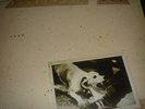 FLEETWOOD MAC-TUSK..SUPERB 1ST UK PRESS (NEAR) MINT DOUBLE VINYL LP RECORD 1979